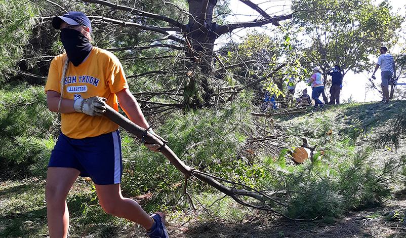 A woman dragging a loose branch